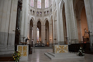 033_cathedrale_saint_pierre-nantes.jpg